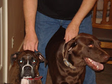 Jesse & Mack ( Grand Dogs )