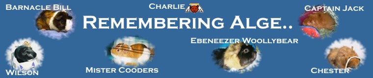 Remembering Alge..: Football rules in the Netherlands