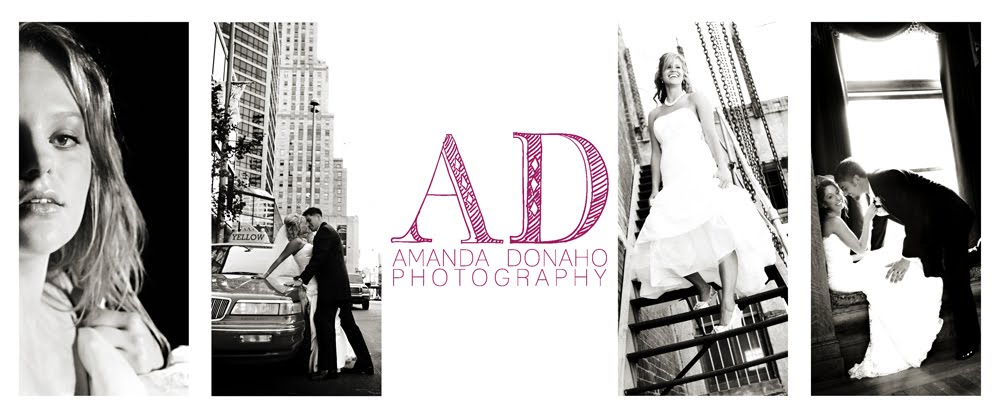 Amanda Donaho Photography