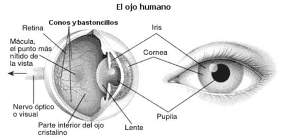 dolor de ojo derecho y lagrimeo