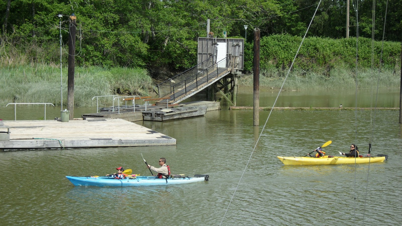 Biking in Vancouver Westham Island Ladner Dyke
