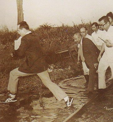 onitsuka tiger meaning