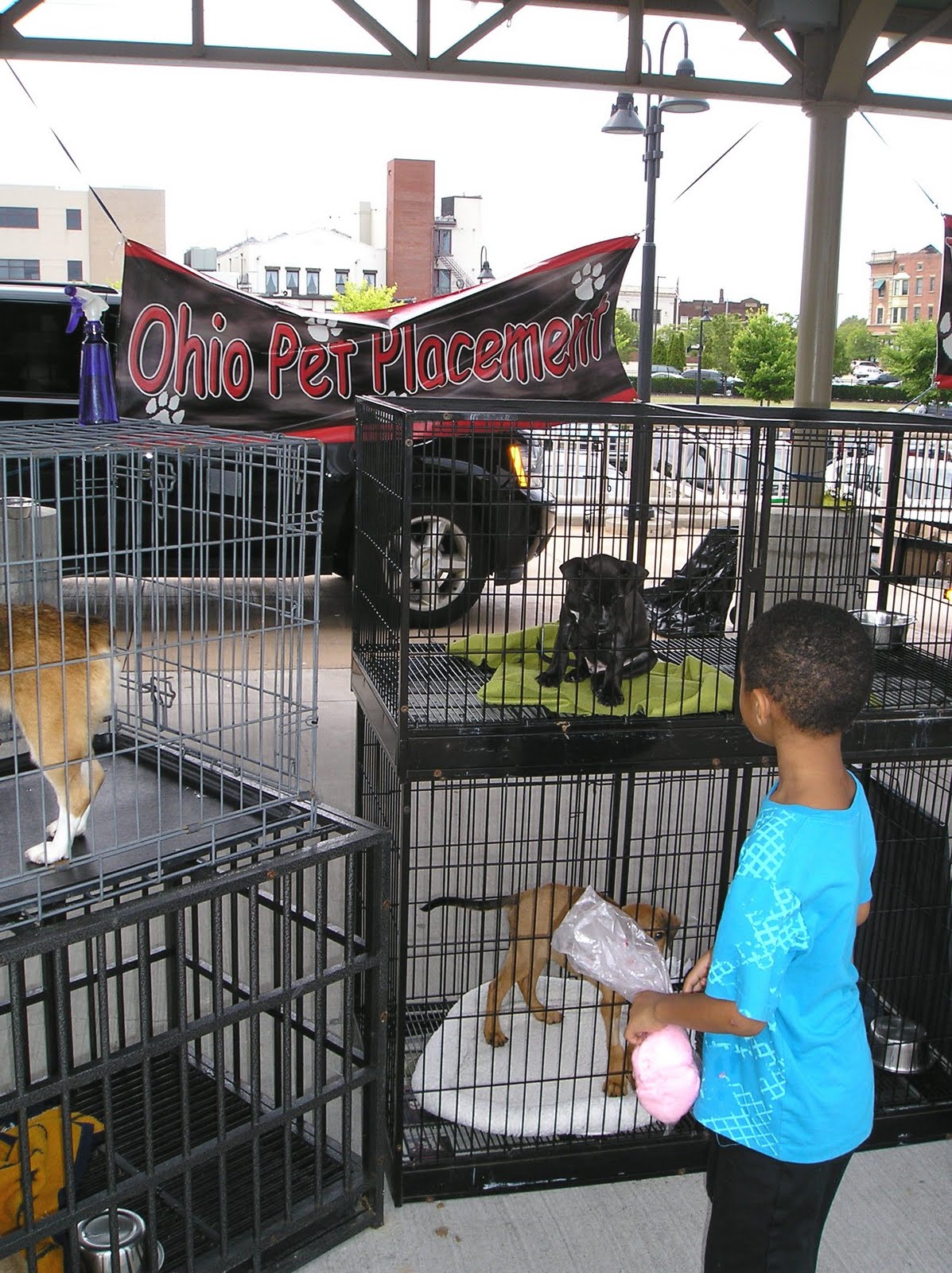 Pet Fest Lorain, Ohio Ohio Festivals