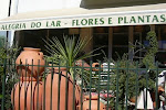 Alegria do Lar