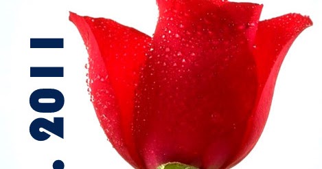Let Her Blossom...!
