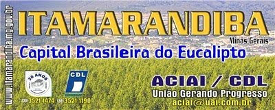 Resultado de imagem para itamarandiba minas gerais a capital do eucalipto