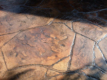 Stamped flagstone Colored concrete