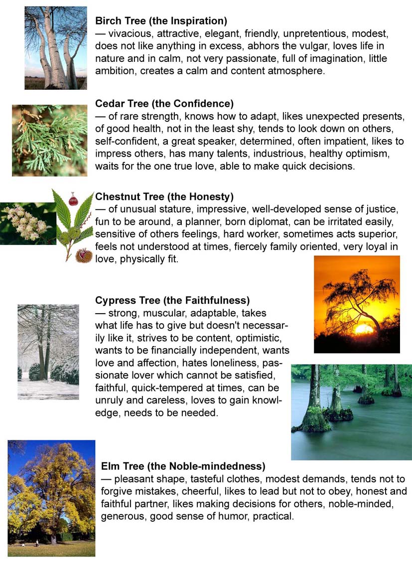 Diary By The General Manager What Tree Did You Fall From diary-by-the-general-manager-what-tree-did-you-fall-from