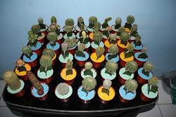 Kaktus Mini untuk Souvenir