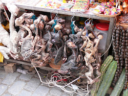Llama Fetuses, Witch Market, La Paz
