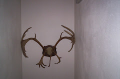 Deer Antlers