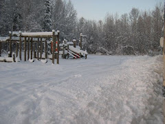 Winter in Stony River
