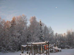 Winter Time in Stony River