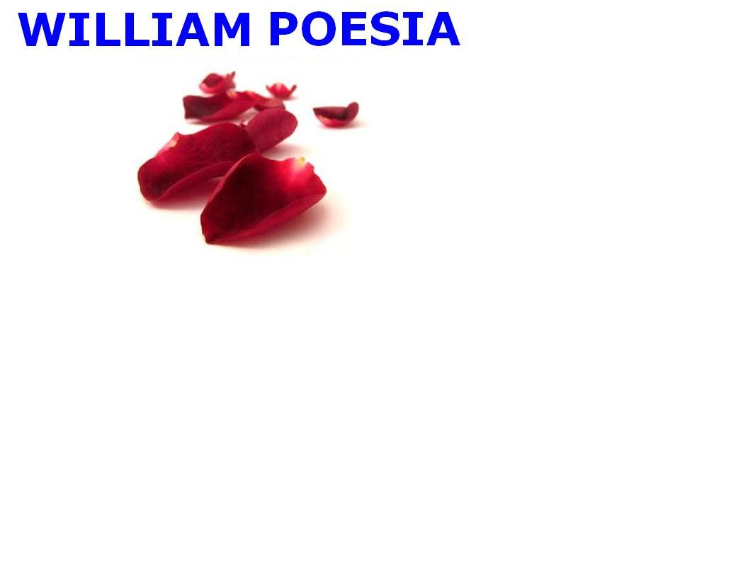 WILLIAM   POESIA