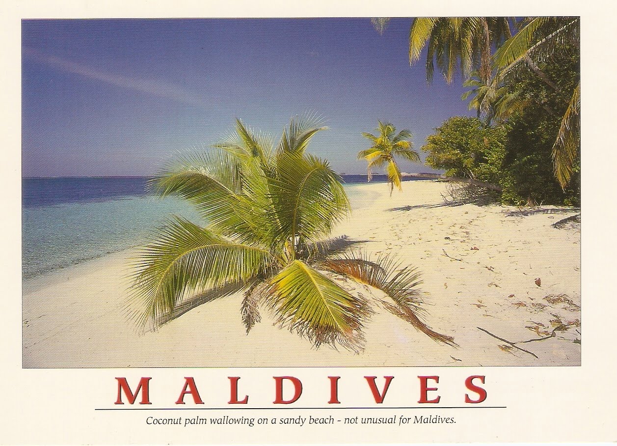 Postcard A La Carte Maldives (for special trade)