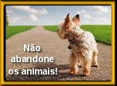 NÃO ABANDONE OS ANIMAIS