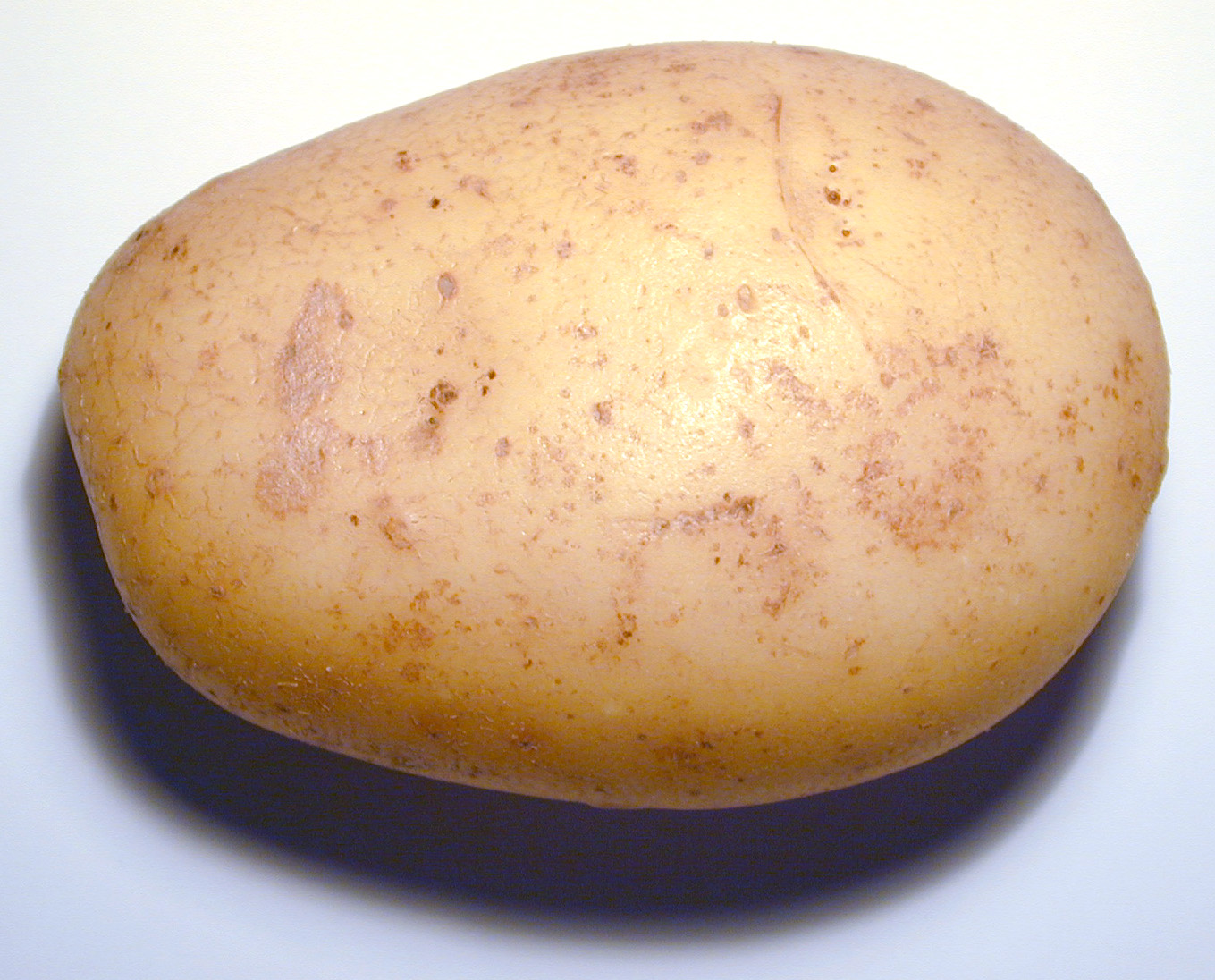 potato0729.jpg