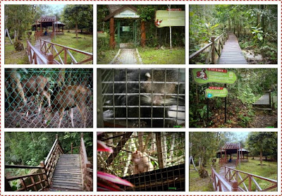 KUCHING's DAILY PHOTO .Life Style,Travel ,Food & Photography Blog.: My