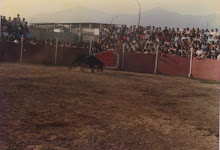 CORRIDA DE TORO EN EL ESTADIO MUNICIPAL