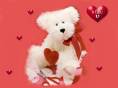 Teddy Bear Love | Quotes Wallpapers