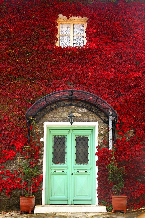 Fauna decorativa: Puertas de entrada con encanto / Lovely main doors