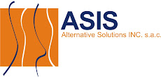 ALTERNATIVE SOLUTIONS INC SAC