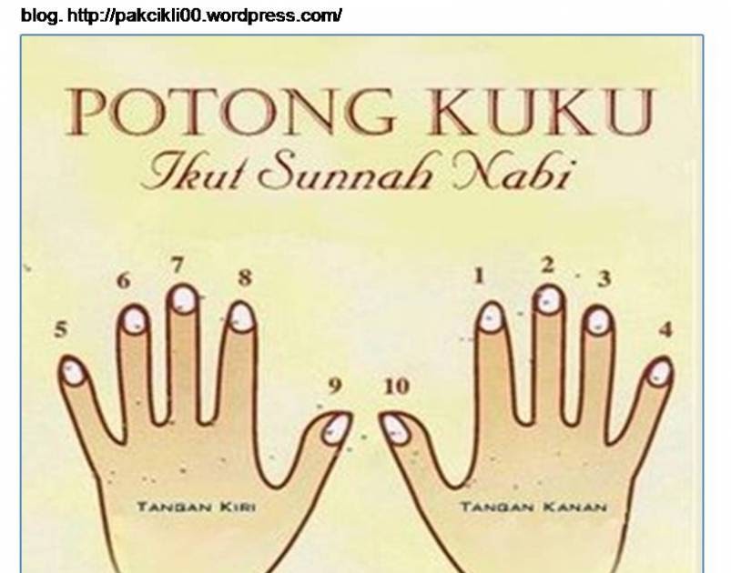 Sunnah Potong Rambut Aqiqah, Model Baru!