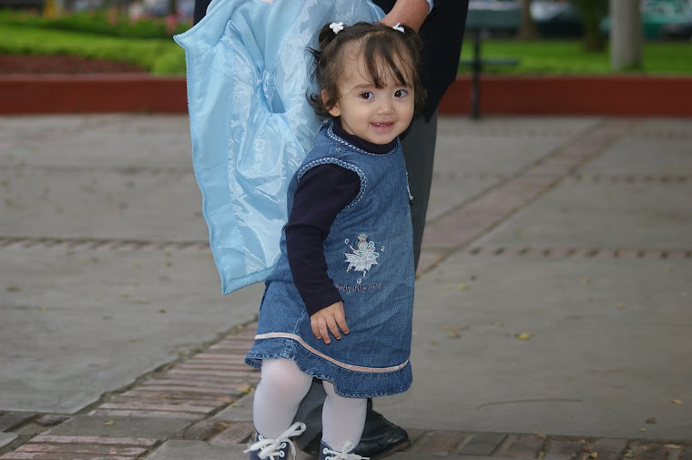 Arantzazuko Ama Birjinaren kofradiak
