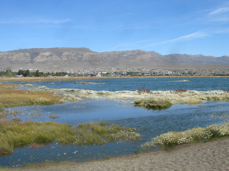 [DSC04161.JPG]