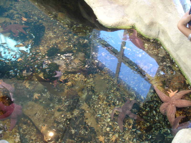 [DSC04595.JPG]