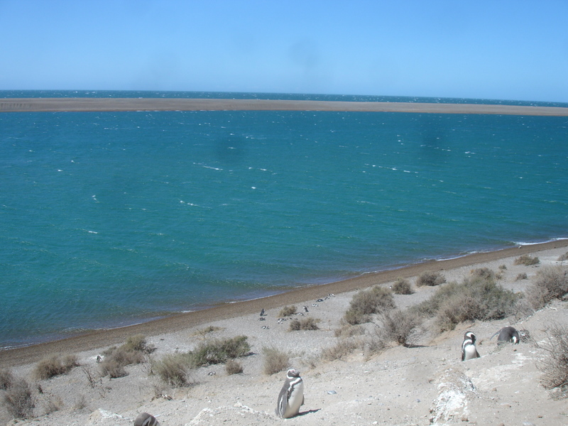 [DSC04644.JPG]