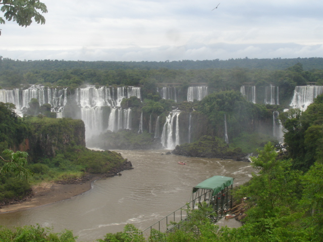 [DSC05313.JPG]