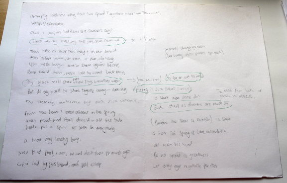 g-graingerfmp: Quotes from shakespeare plays