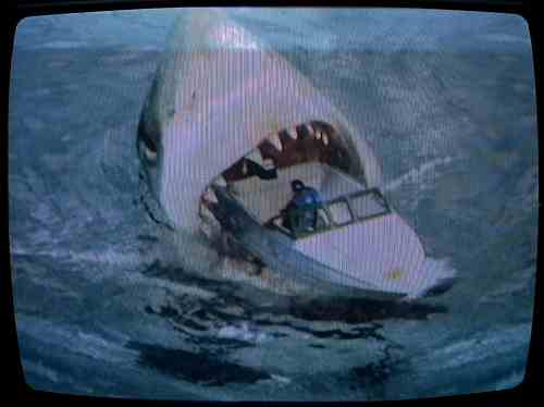 Tellyblogus Cinematicus Fantasticus: Film Review: Shark Attack 3