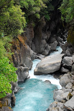 Threatened - The Waitaha's Morgan Gorge