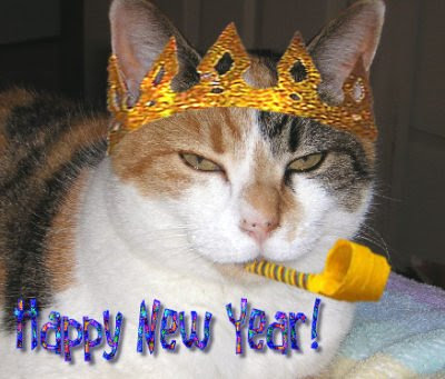 http://2.bp.blogspot.com/_rjc0u9qi9yk/SV1OP2uHOsI/AAAAAAAACSs/Mat0TYTnCjg/s400/HappyNewYear.jpg