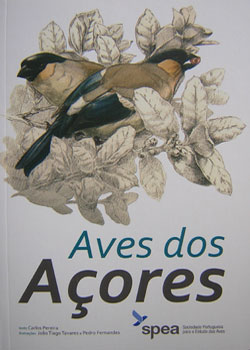 aves_acores_02.jpg