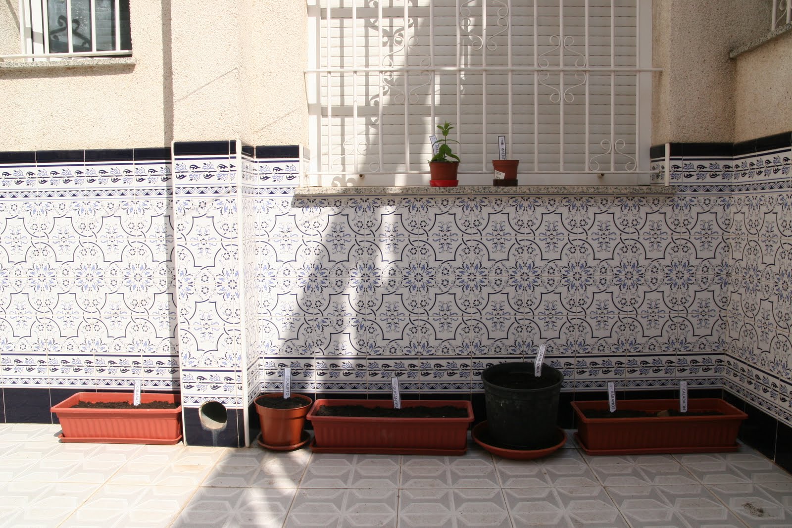 ACHO SI O QUE?: junio 2010