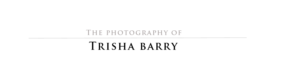 Trisha Barry Photography