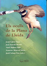 Els ocells de la Plana de Lleida
