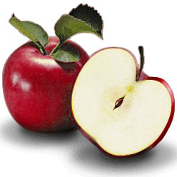 [07092007160247_642_501470elm.jpg]