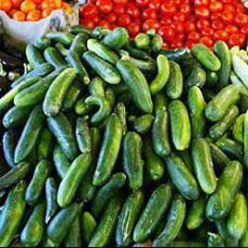 [05092007144731_642_500986sal.jpg]