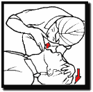 [temelilkyardim1.gif]