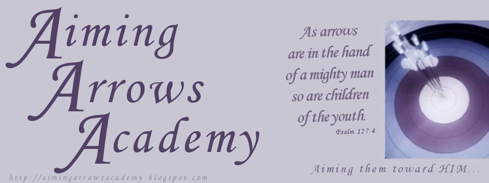 Aiming Arrows Academy