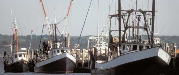 [MISC+-+US+fishing+boats.JPG]