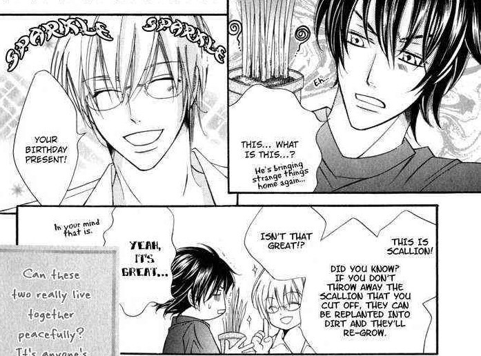 Yaoi Manga Reviews: 24 Jikan Kiss Dekinai - Umezawa Hana
