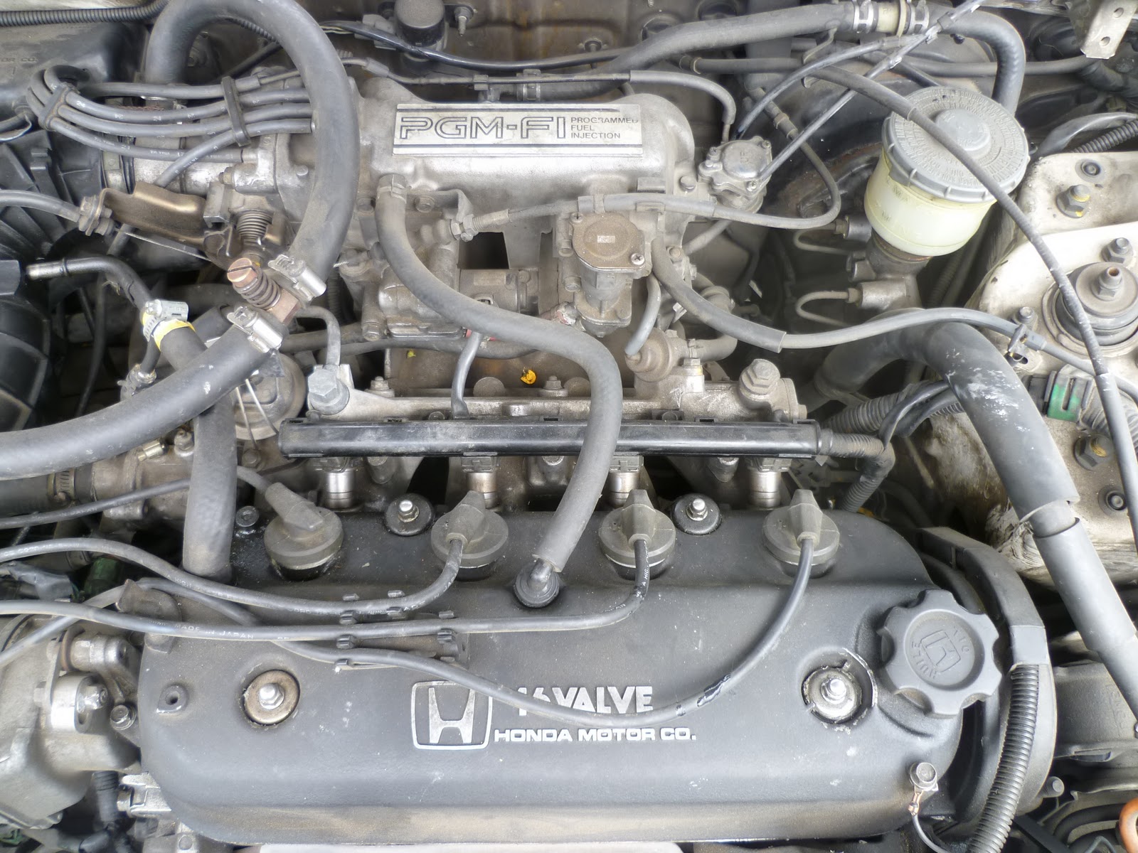 Honda Accord 91 Dual GLP