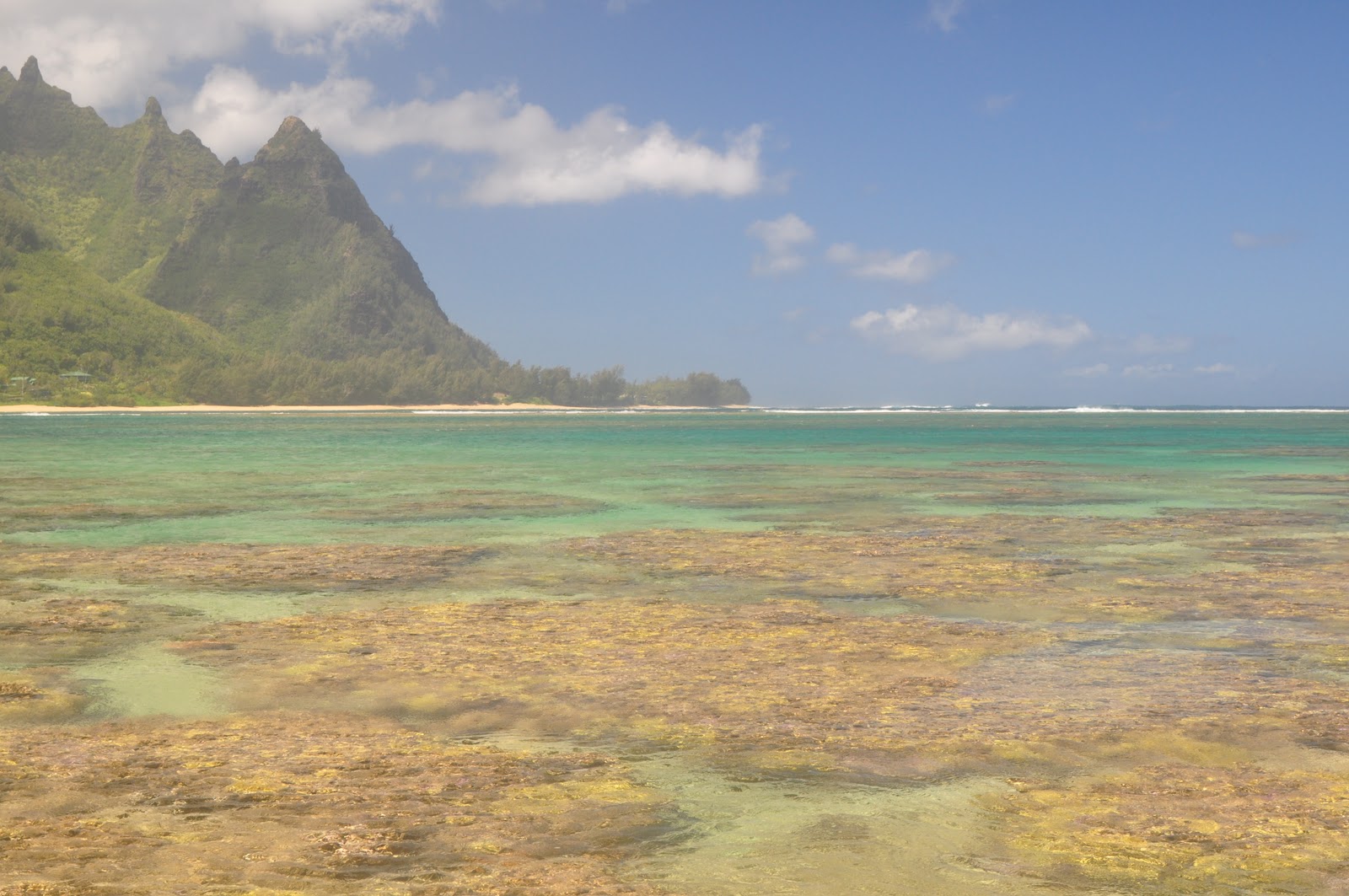 Fly Fishing Adventures Kauai on the fly