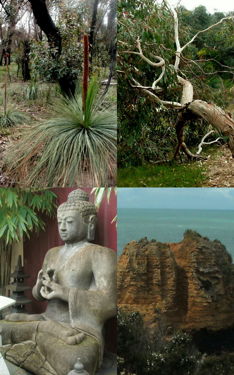 Geelong Visual Diary Garden sculptures and other things