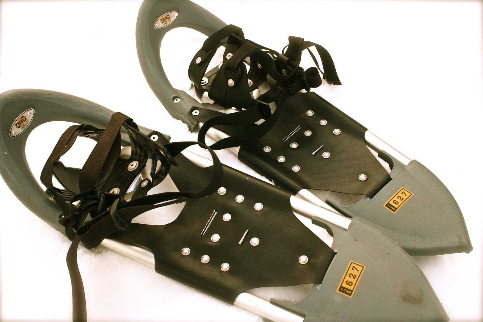 My Igloo Life: The Complete Guide of How to Snowshoe.